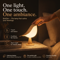 BirdZen — The light that calms you at first glance