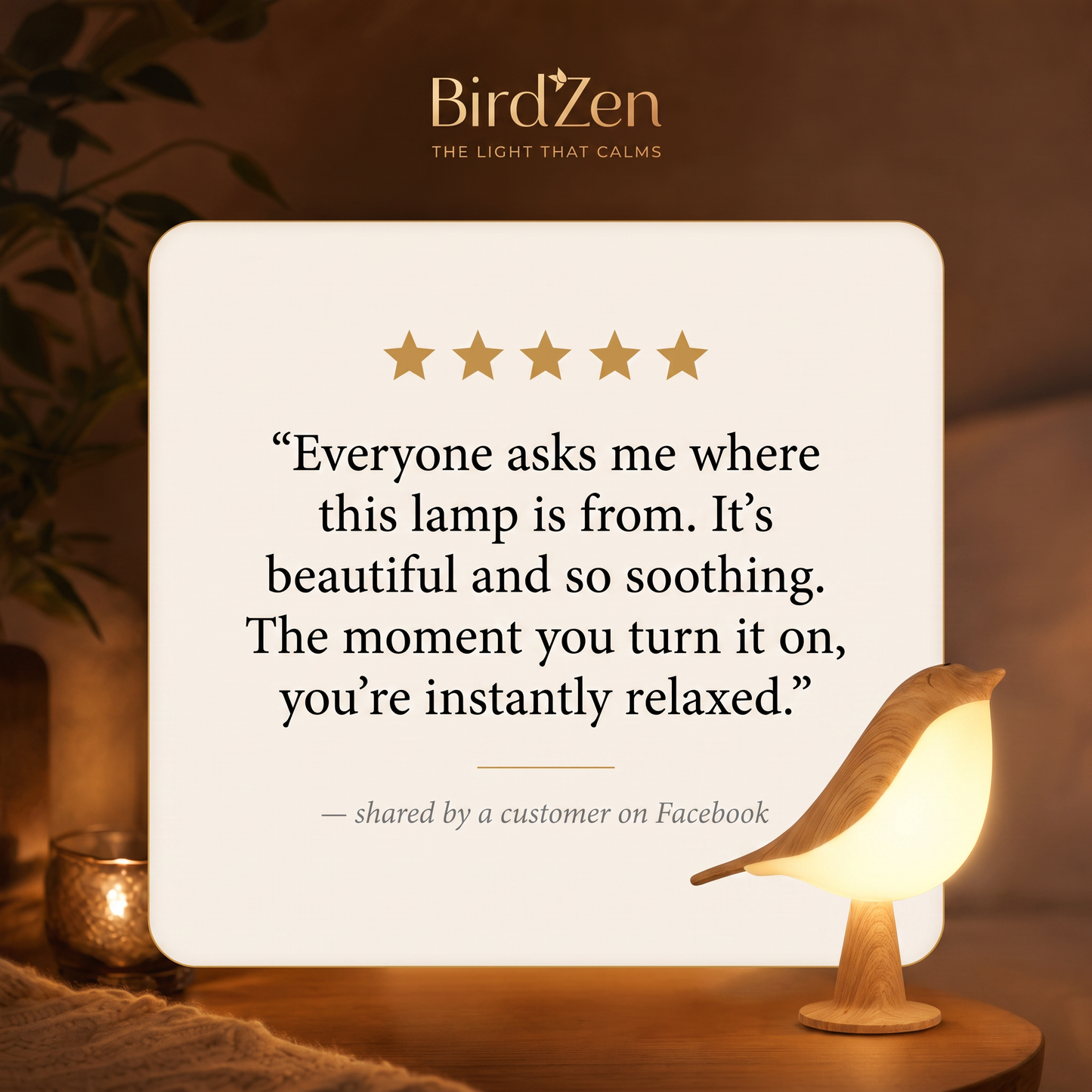 BirdZen — The light that calms you at first glance