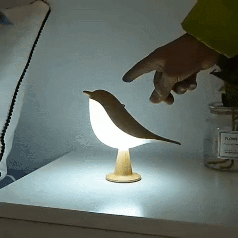 BirdZen — The light that calms you at first glance